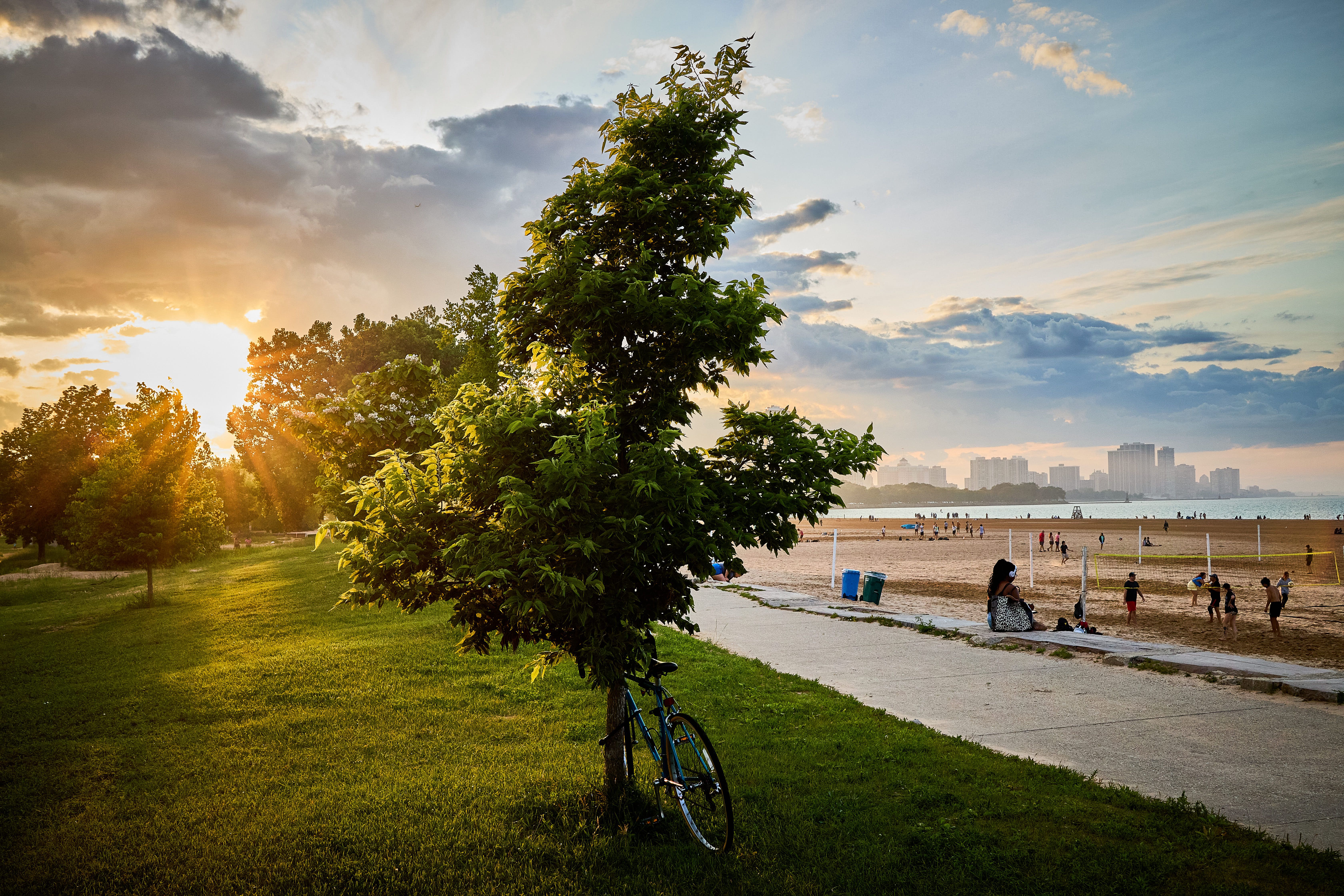 Bicycle resting on tree
